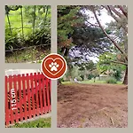 Le Jardin De Jade * לה פליין סור-מר