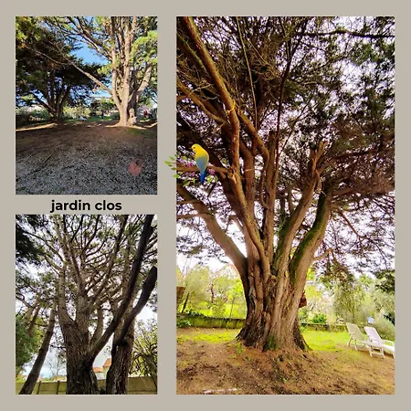 Le Jardin De Jade * La Plaine-sur-Mer