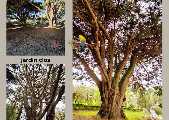 Le Jardin De Jade * La Plaine-sur-Mer